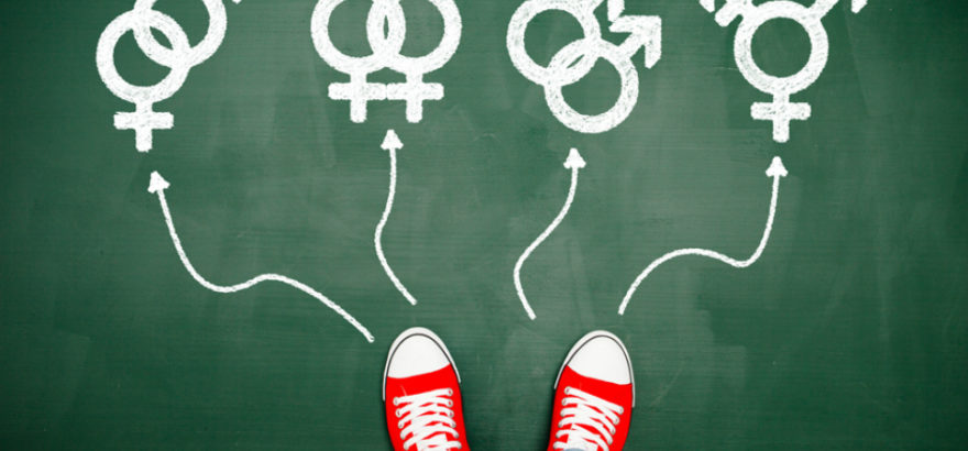 The Hit And Miss/Educations Of A Queer Indian