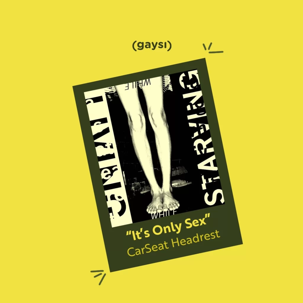 “It’s Only Sex”: Unravelling Asexuality’s Quiet Struggle Against a Sex-Centric World