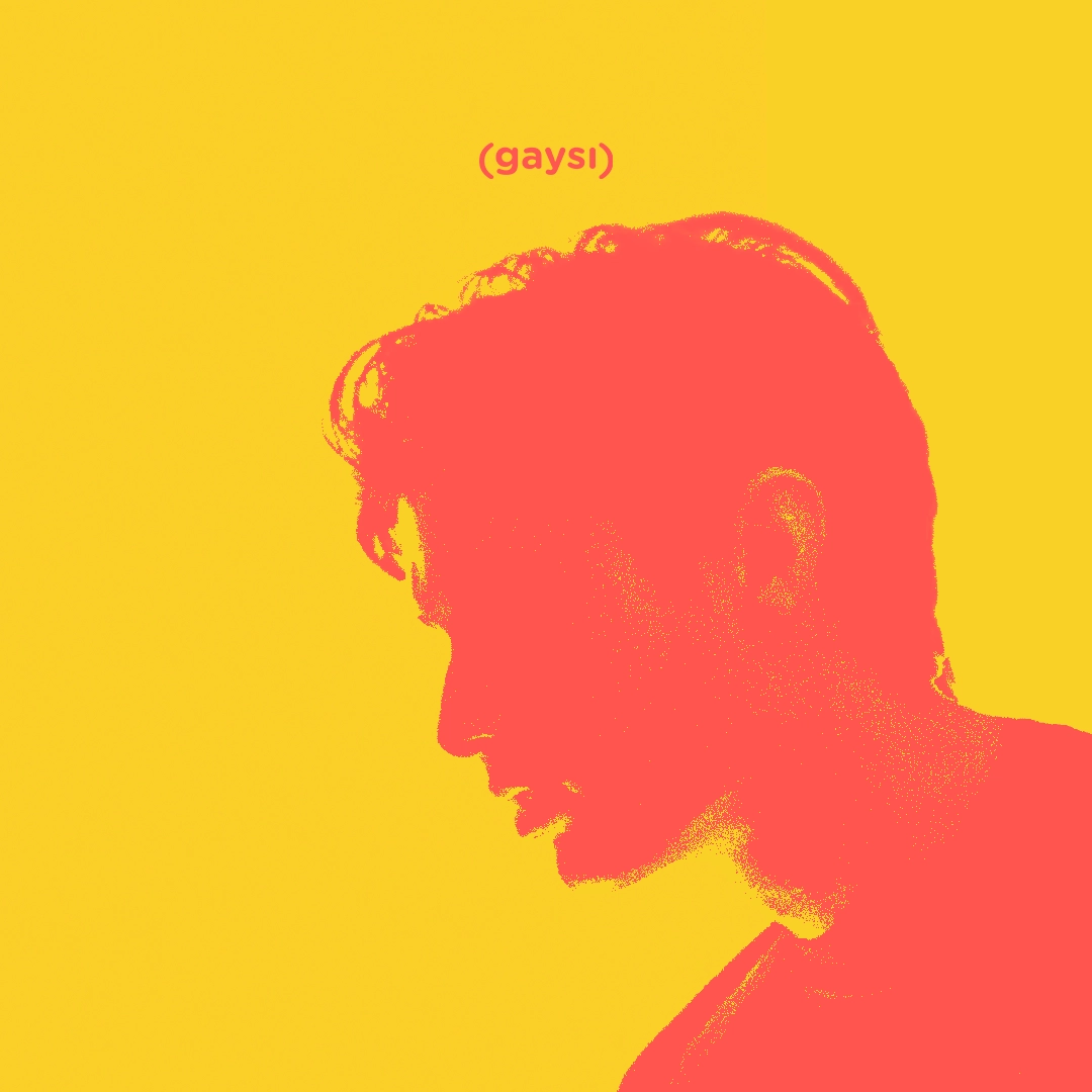 Am I Gay Enough For You?