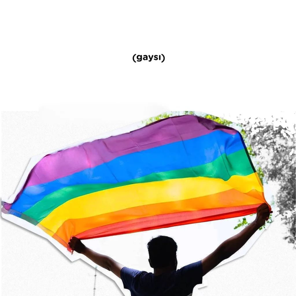 From ‘Unapprehended Felons’ To ‘Urban Elites’: An ‘Apology’ That Refuses to Come Through — A Review of Queer India Now
